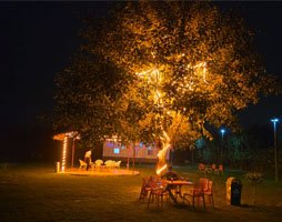 Shree Radha Kunj Gallery Image