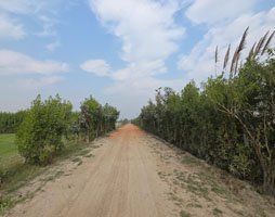 Shree Radha Kunj Gallery Image