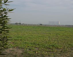 Shree Radha Kunj Gallery Image