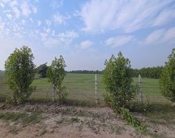 Shree Radha Kunj Gallery Image